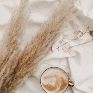By Alyssa Strohmann (Unsplash: CGXxpcUrhdo)